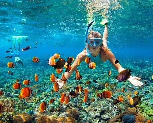 Snorkeling- Explore The Beauty Beneath The Wave