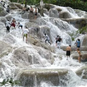 Dunn’s River Falls & Dolphin Cove Ocho Rios